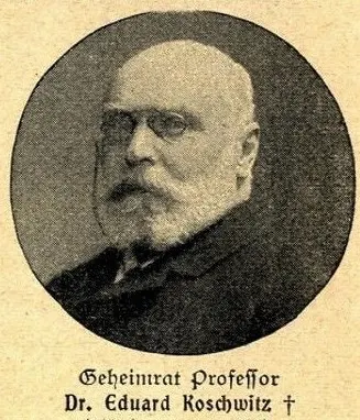 Porträt von Dr. Eduard Koschwitz (not credited)